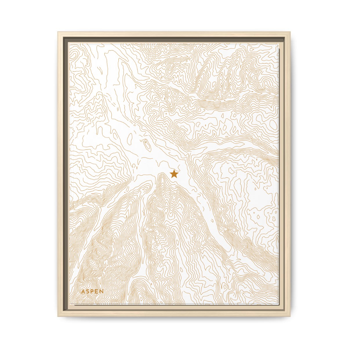Aspen custom map art