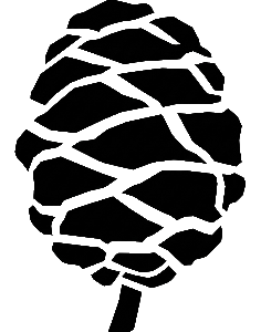 Sequoia Studio logo
